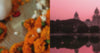 Impressions from India.