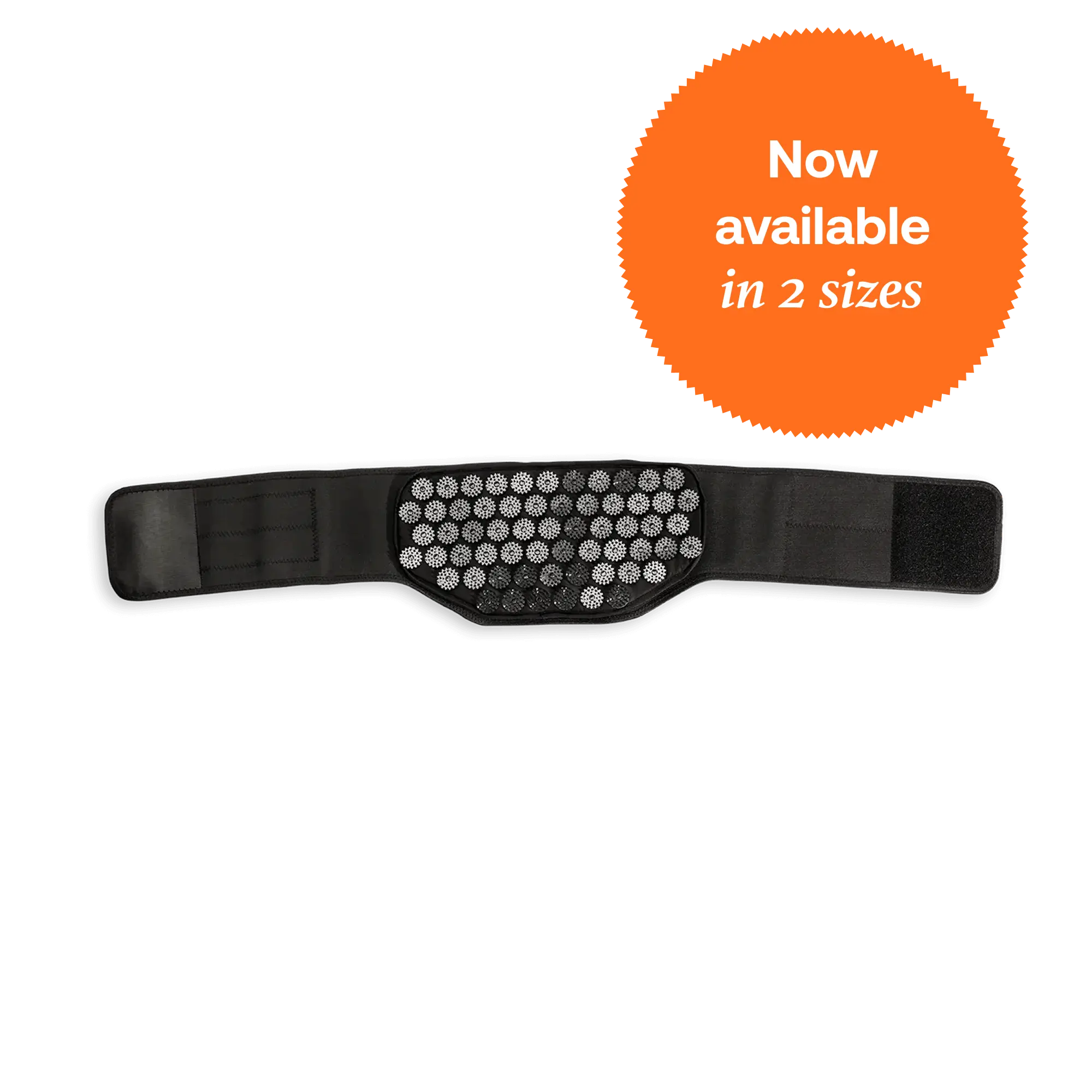 Shakti Back Belt