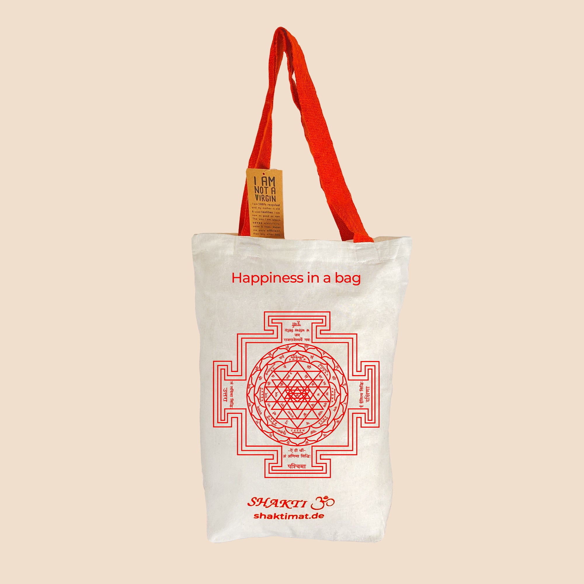ShaktiBag - Bag for the ShaktiMat